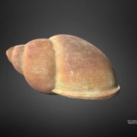 62-thumbnail.jpg