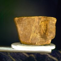wooden_cup_T6.jpg