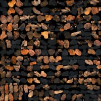 textured_material0004_map_Kd.png